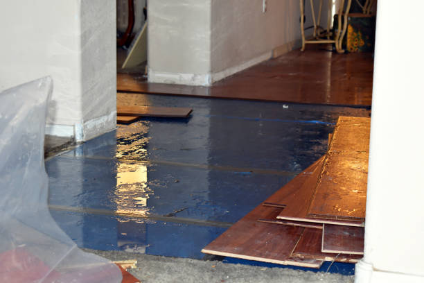 Professional Sewage Cleanup technician working in Saxon, WV